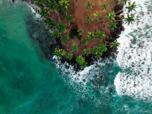 10 DAYS TOUR SRI LANKA