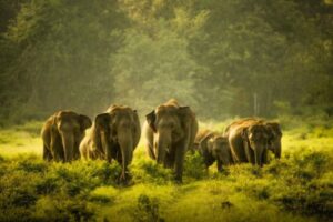 10 DAYS TOUR SRI LANKA
