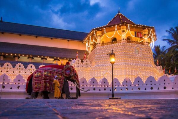 12 DAYS TOUR SRI LANKA - Image 5