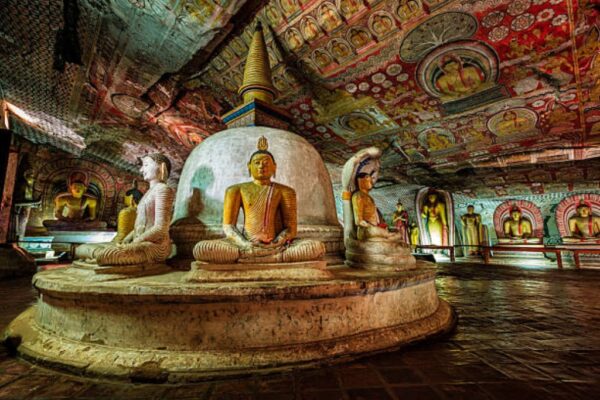 14 DAYS TOUR SRI LANKA - Image 2