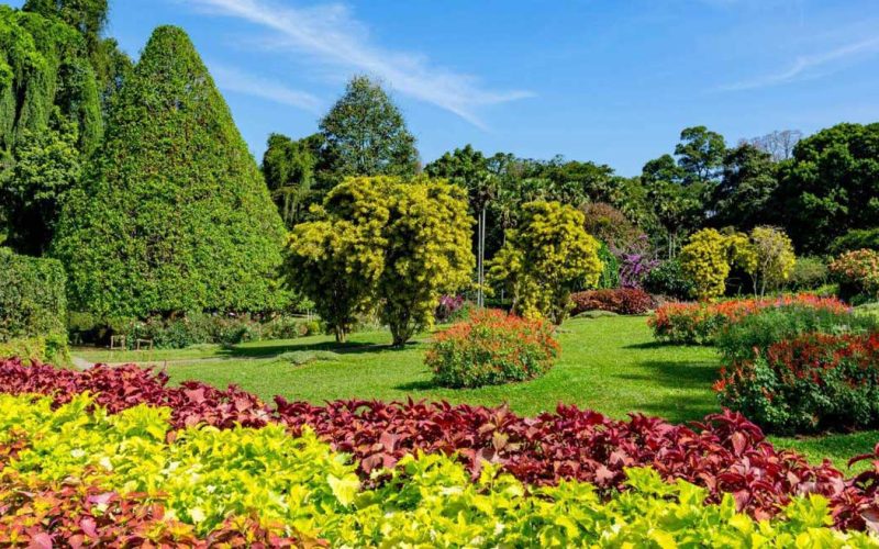 Peradeniya